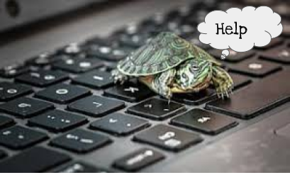   a turtle saying "help!" on a computer keyboard